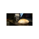 Gas Steinpizzaofen / Kuppel Pizzaofen Rotierend Gas / Touchpanel – Bild 5