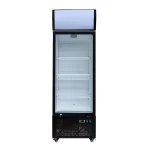 Getränkekühlschrank mit Display, Inhalt 305 Liter